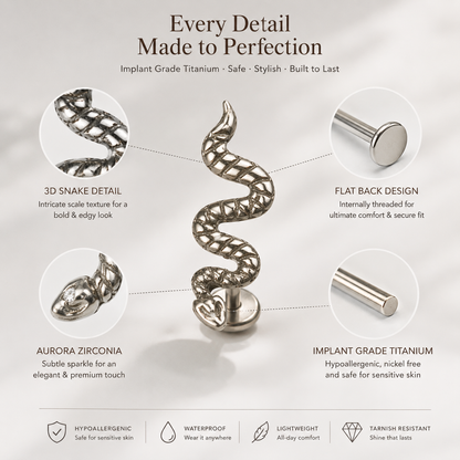 Close-up_texture_detail_of_titanium_serpent_flat_back_piercing_jewelry